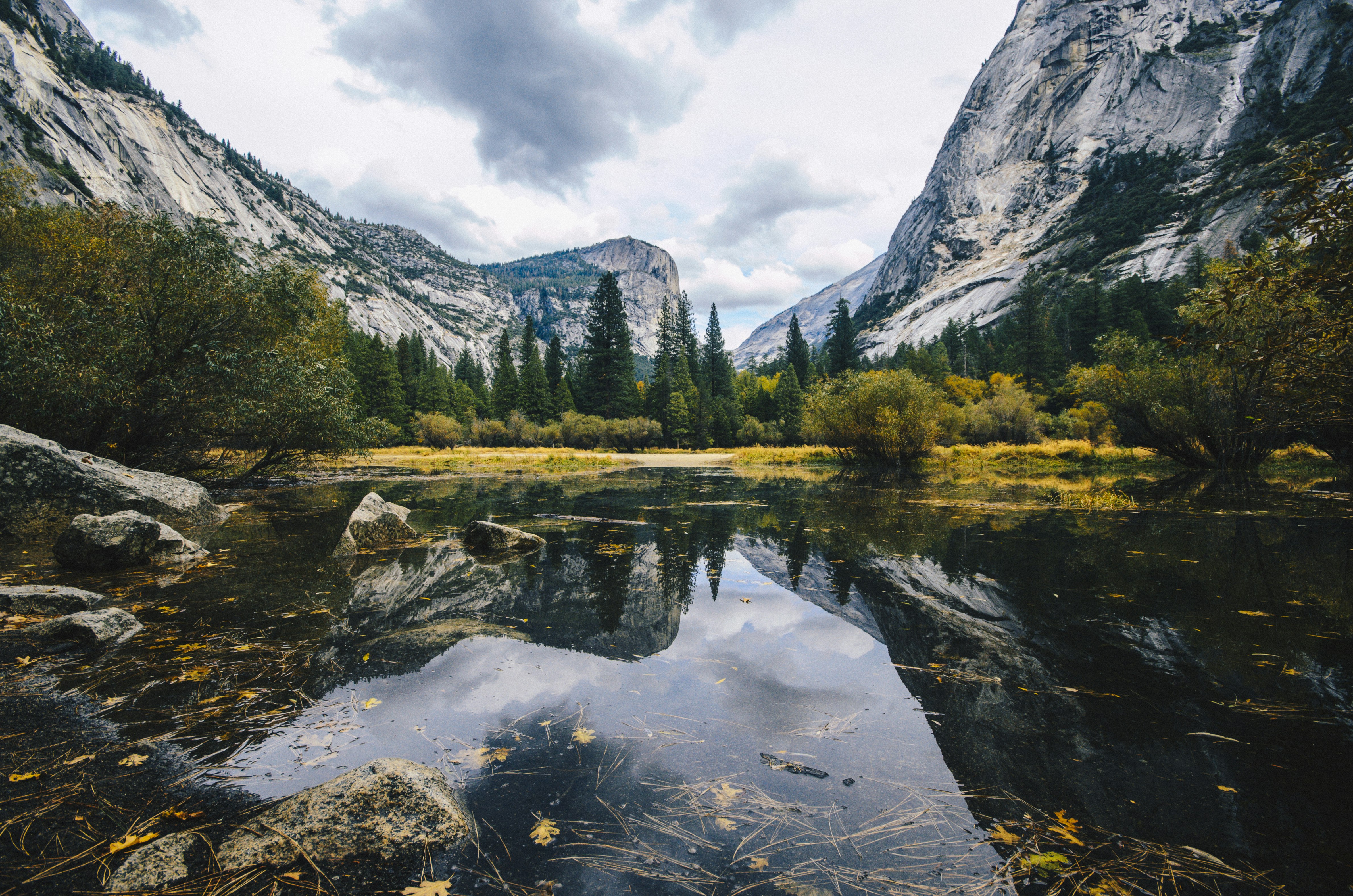 body of water near trees and mountain at daytime